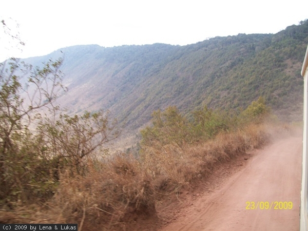467 der Ngoronogoro Krater... ein Paradis für wildtiere